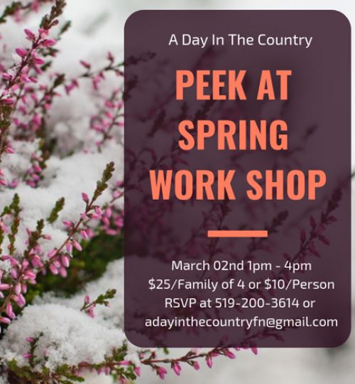 Peek-at-Spring-workshop-a-day-in-the-country-jennifer-willert-mayr-hooydonk-london-ontario-march-break-events-london-ontario-things-to-do