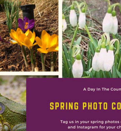 a-day-in-the-country-photo-contest-April-1-2020